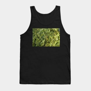 Riesling Grapes at Magpie Springs by Avril Thomas Tank Top